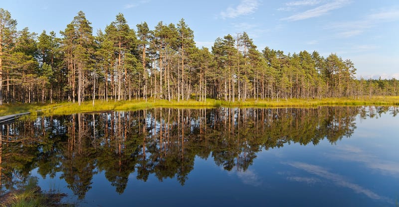 Lahemaa National Park in Estonia