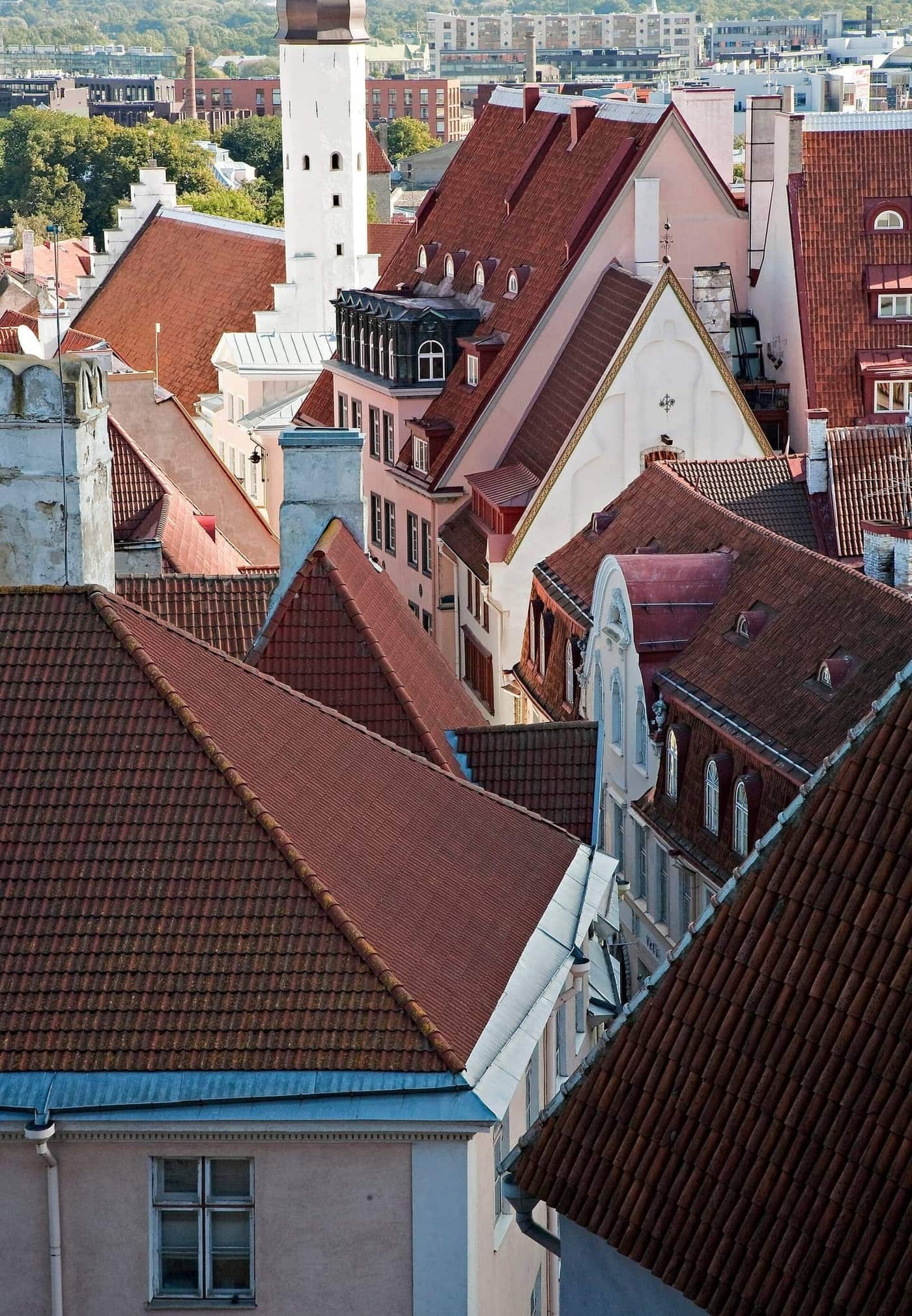 Tallinn rooftop viewpoints and church spires