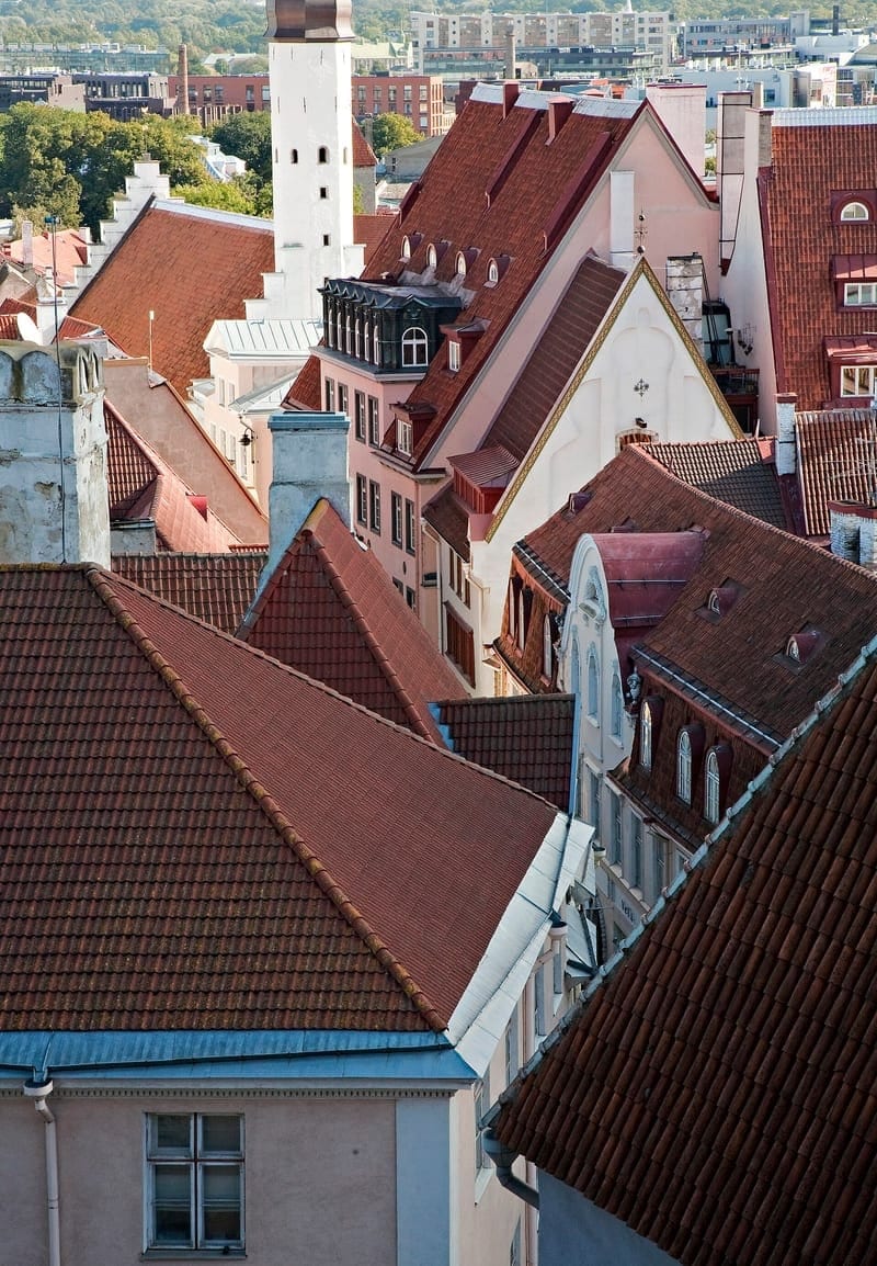 Classic Tallinn Old Town viewpoint over red rooftops